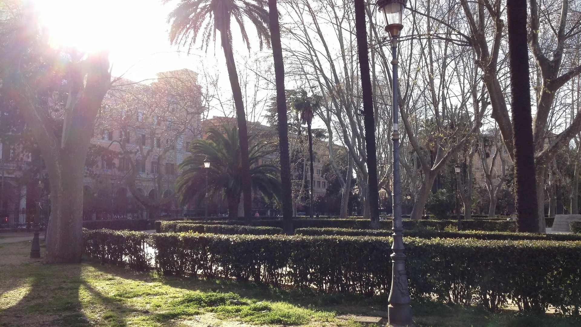 B&B Girasole Guesthouse Roma